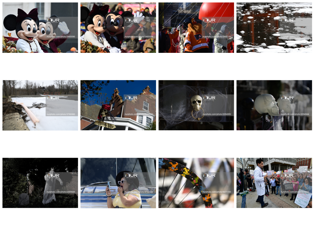 Contact-Sheet – 00001